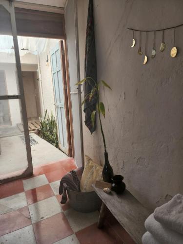 a room with a potted plant sitting on a bench at The Suite. Few steps & beach! in Chelem