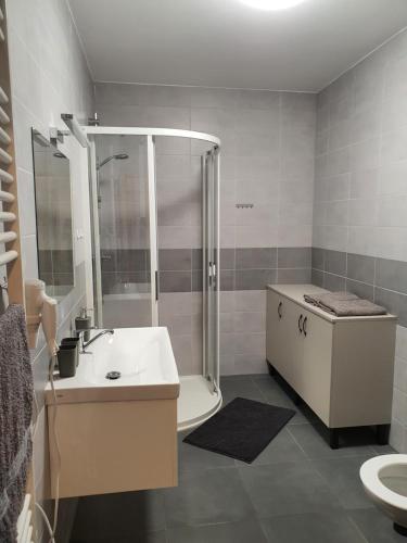 Ένα μπάνιο στο Apartmán Ostrov nad Oslavou