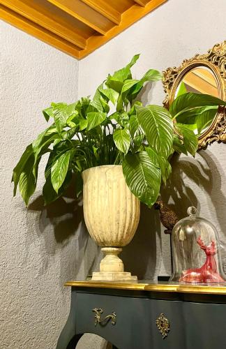 a plant in a vase on a table next to a mirror at VILLA OXA - Boutique Design Hotel in Maria Alm am Steinernen Meer