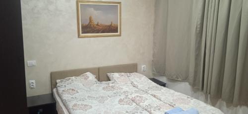 ein Bett in einem Schlafzimmer mit einem Bild an der Wand in der Unterkunft Mikassa room in Niš
