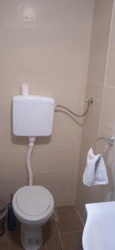 ein Bad mit einem weißen WC und einem Handtuch in der Unterkunft Mikassa room in Niš