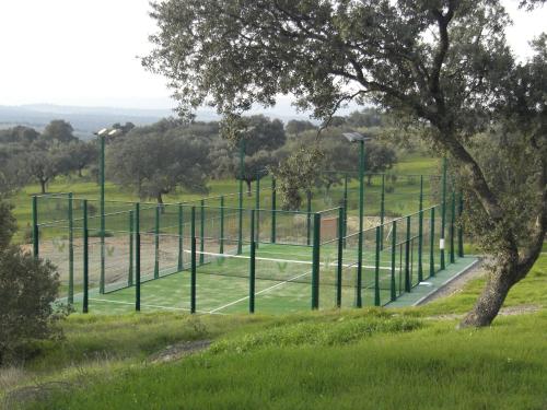 Attività di tennis o squash presso l'hotel o nelle vicinanze