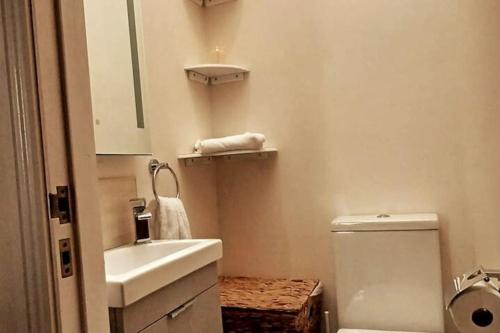 uma pequena casa de banho com lavatório e WC em Foxglove Lodge 