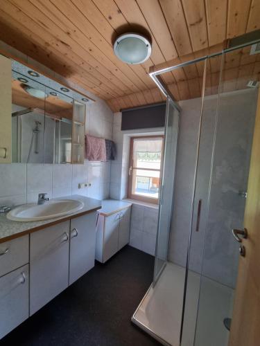 a bathroom with a sink and a glass shower at Haus Felder Schoppernau in Schoppernau