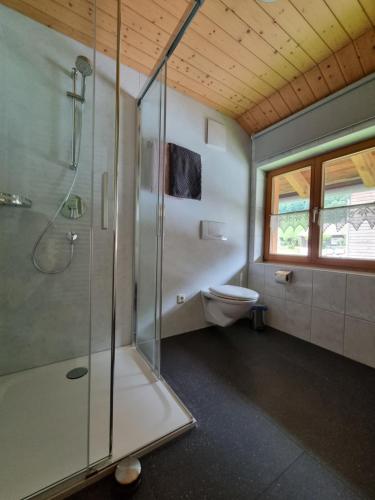 ein Bad mit einer Dusche und einem WC in der Unterkunft Haus Felder Schoppernau in Schoppernau