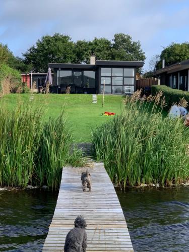 a dog sitting on a dock next to a house at Huset ved søen tæt på Herning og MCH og boxen 90 m2 in Sunds