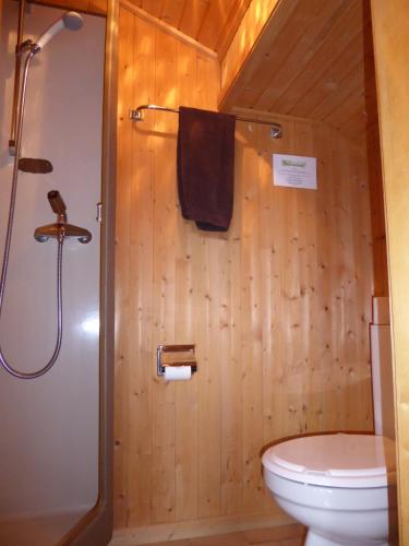 a bathroom with a toilet and a shower at Chant du Torrent: 12 pers. idéal pour les familles in Nendaz