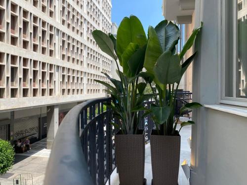 two plants in vases sitting on a balcony at Athens The L7 Str - Luxury Boutique Collection Hotel in Athens