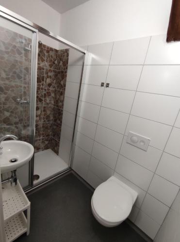 a bathroom with a toilet and a shower and a sink at Penzion Na Protivínské in Strakonice