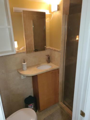 a bathroom with a sink and a toilet and a mirror at STS - Single Traveler Studio -Black Door in Washington
