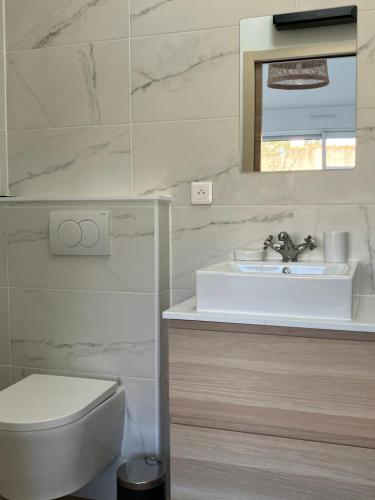 een badkamer met een wastafel, een toilet en een spiegel bij L’Oasis in Machecoul
