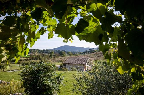 an old house in a field with mountains in the background at TENUTA I TUFARI in Tivoli