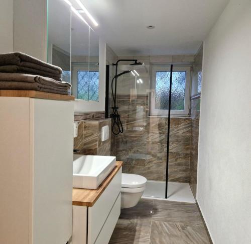 a bathroom with a shower and a toilet and a sink at Apartment Ramazotti - inklusive Eintritt in die Alpentherme in Bad Hofgastein