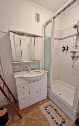 une salle de bain avec un lavabo et une douche dans l'établissement 100 % vue mer, à Berck-sur-Mer, à Berck-sur-Mer