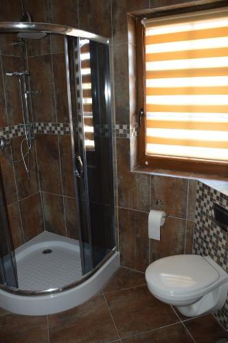 a bathroom with a shower and a toilet and a sink at Dom na Mazurach in Rydzewo