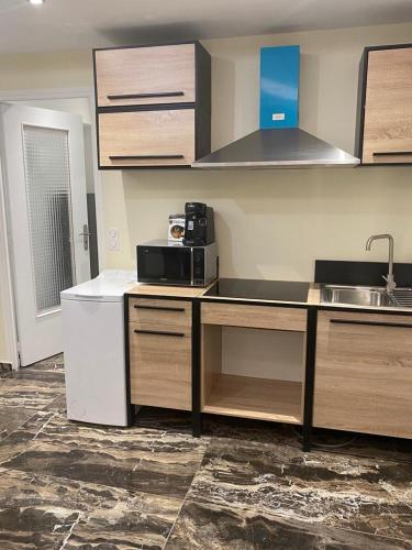 une cuisine avec un comptoir avec un évier et un micro-ondes dans l'établissement Au Calme, au Cannet