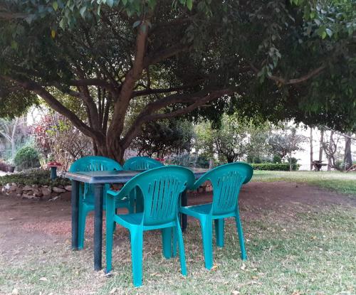 una mesa de picnic con 4 sillas frente a un árbol en Sonke Ball House(Nyumba Yangati Mpira), en Nyambadwe