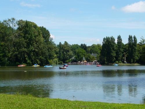 a large lake with boats on the water at Hotel Biederstein am Englischen Garten in Munich
