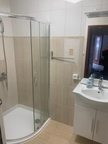 a bathroom with a shower and a sink at 3 Apartments in 1 location in Prague