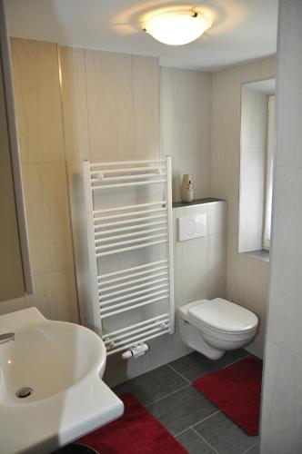 a bathroom with a white toilet and a sink at Flierelerhof in Arzl im Pitztal