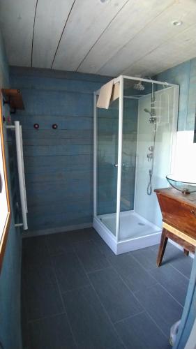 uma casa de banho com um chuveiro e uma porta de vidro em Domaine des Terres du Milieu / Gîte de cul de sac em Châteldon