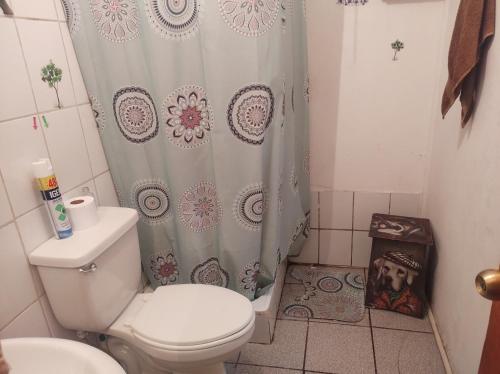 a bathroom with a toilet and a shower curtain at Quiet cottage in a hill with great view not far to downtown in Santiago