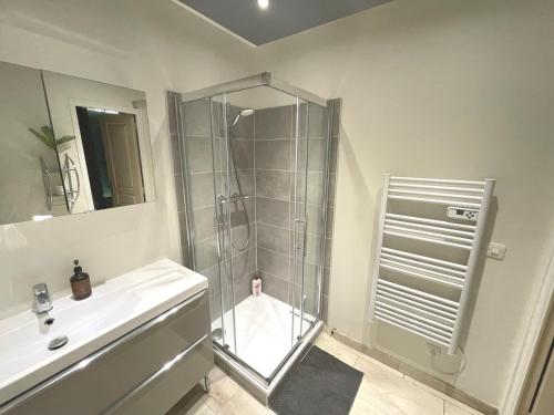 a bathroom with a shower and a sink at Escapade Morétaine - La Halte Intemporelle in Moret-sur-Loing
