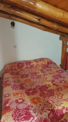 Cama ou camas em um quarto em Complejo turístico Nahuel pan