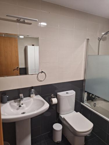 een badkamer met een toilet en een wastafel bij El Rincón de Miren in Zamora