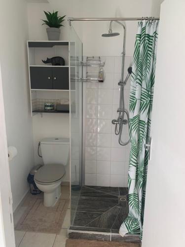 a bathroom with a toilet and a glass shower at Le nid du Kikiwi , refuge relaxant avec jardin in Cayenne