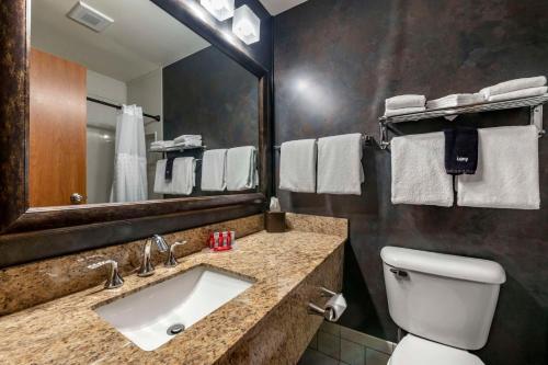 La salle de bains est pourvue d'un lavabo, de toilettes et d'un miroir. dans l'établissement SureStay Plus Hotel by Best Western Buffalo, à Buffalo