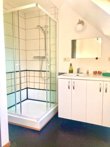 a bathroom with a shower and a sink at foodiejive appartement 2 in Antwerp