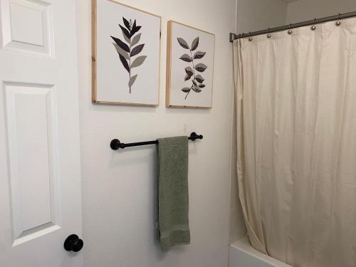 uma casa de banho com uma cortina de chuveiro e uma toalha verde em Entire cozy home em Madera