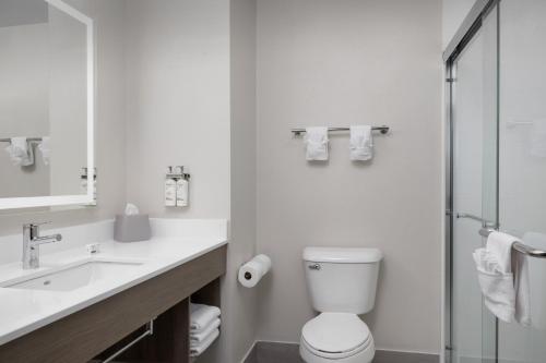 a bathroom with a toilet and a sink and a mirror at Holiday Inn Express & Suites Superior by IHG in Superior