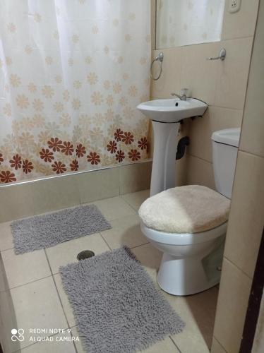 een badkamer met een toilet en een wastafel bij Mardry in Trujillo