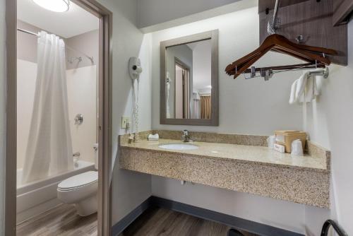 a bathroom with a sink and a toilet and a mirror at Red Roof Inn Hickory in Hickory