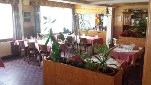 un comedor con mesas, sillas y plantas en Gastwirtschaft Hornbach-pinte en Wasen