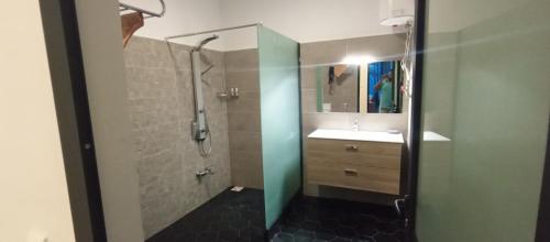 uma casa de banho com um chuveiro, um lavatório e um espelho. em Villa sakinu em Mahajanga