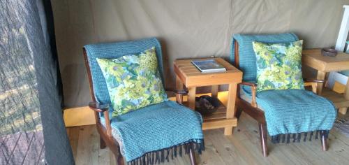 Gallery image of Trees&Seas - Getaway Glamping in Wilderness