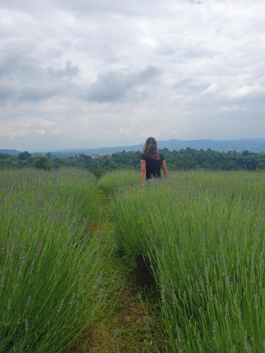 a woman standing in a field of tall grass at Jadrica in Žumberak