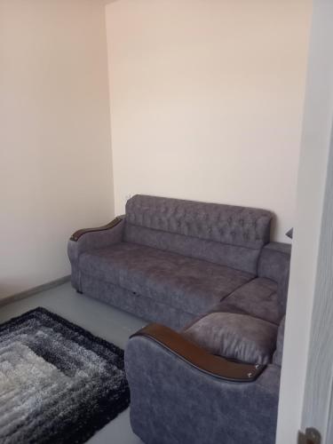Areni Mot – Photos 3