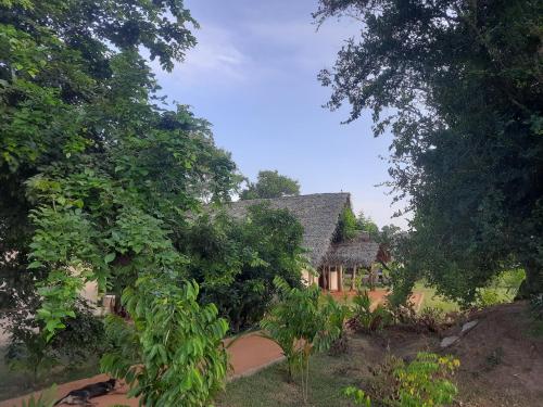 a house in the middle of a field with trees at Nirvaan Safari Lodge in Wilpattu