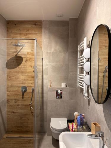 een badkamer met een douche, een toilet en een wastafel bij A 207-Fruske Residence in Vrdnik