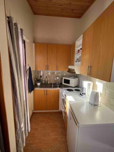 a small kitchen with a white refrigerator and a sink at Two bedroom duplex with peaceful views in Jyväskylä