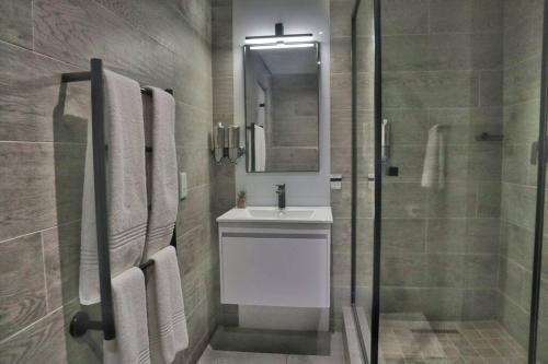 a bathroom with a sink and a shower with a mirror at Foreshore Winks 407 in Cape Town