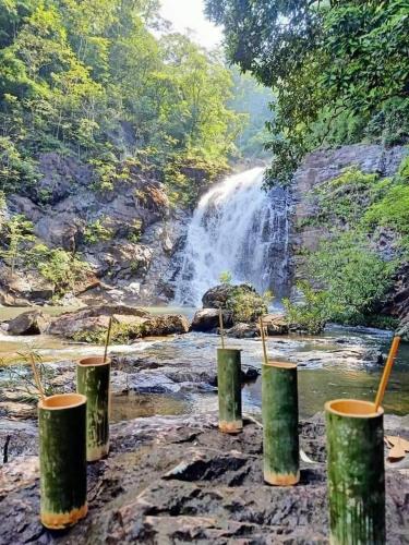 a painting of a waterfall and four containers with chopsticks at Jar rai village homestay& Sona trekking tour in Banlung