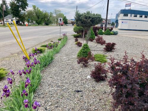 a garden of flowers on the side of a street at Motel 99 in Grand Forks