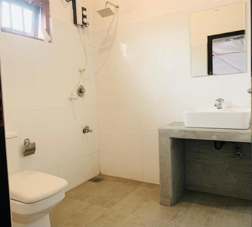 阿漢伽馬的住宿－Soul Inn，一间带卫生间和水槽的浴室