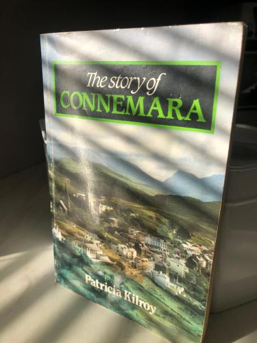 a book sitting on top of a table at Bruíon Connemara in Cleggan