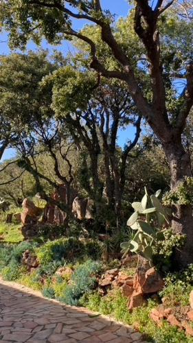 a tree with stars on it next to a brick road at Villa L'Arbousière in Porto-Vecchio